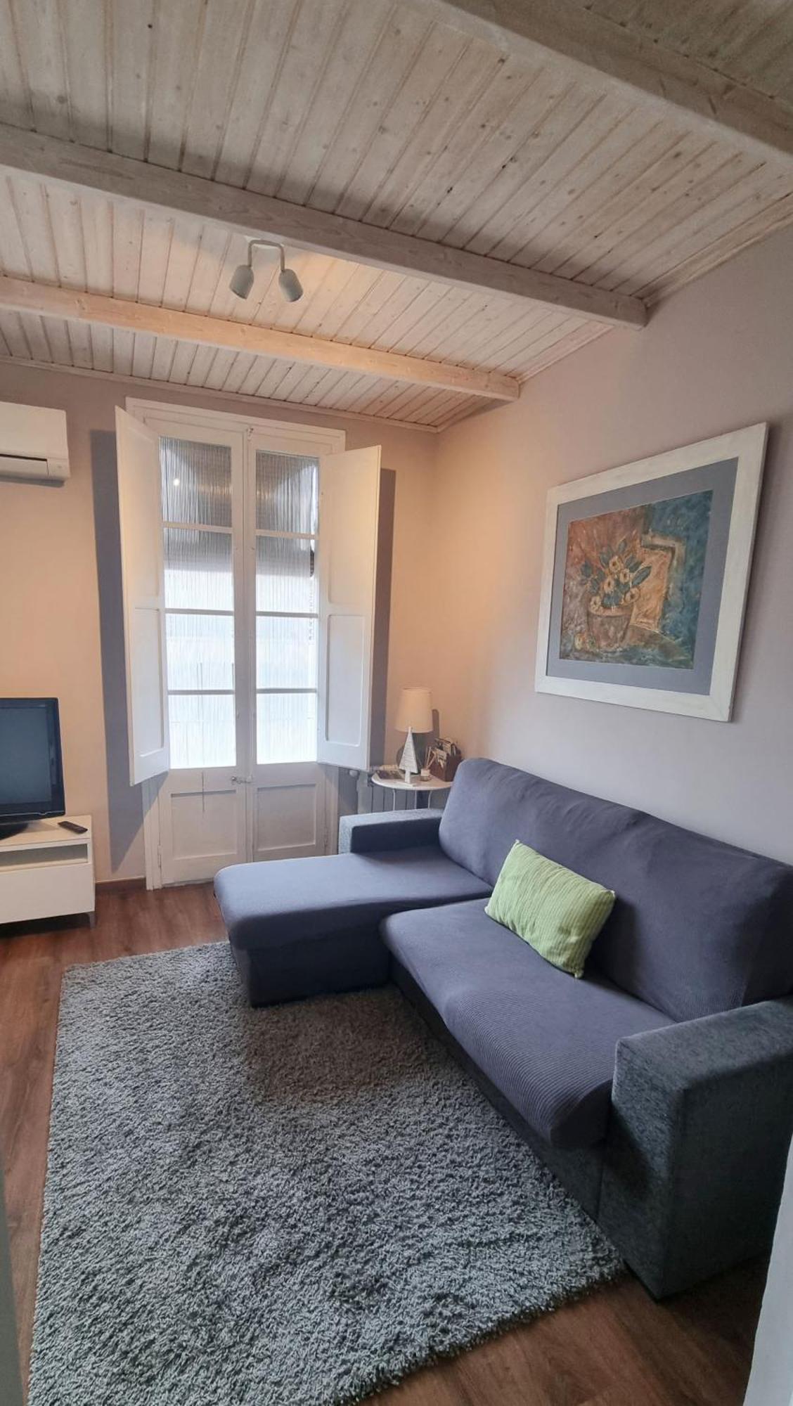 Apartment Sant Francesc Olot Dış mekan fotoğraf