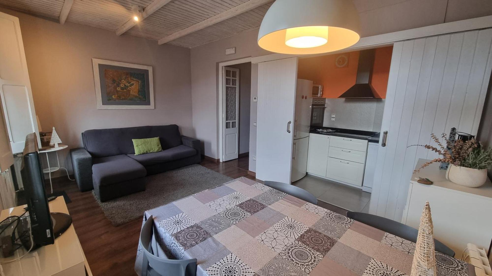 Apartment Sant Francesc Olot Dış mekan fotoğraf