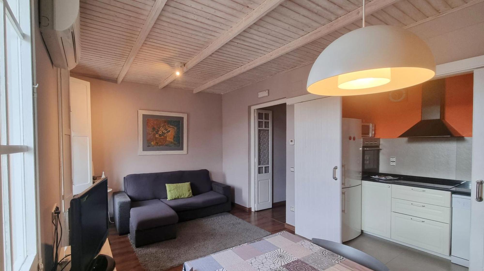 Apartment Sant Francesc Olot Dış mekan fotoğraf